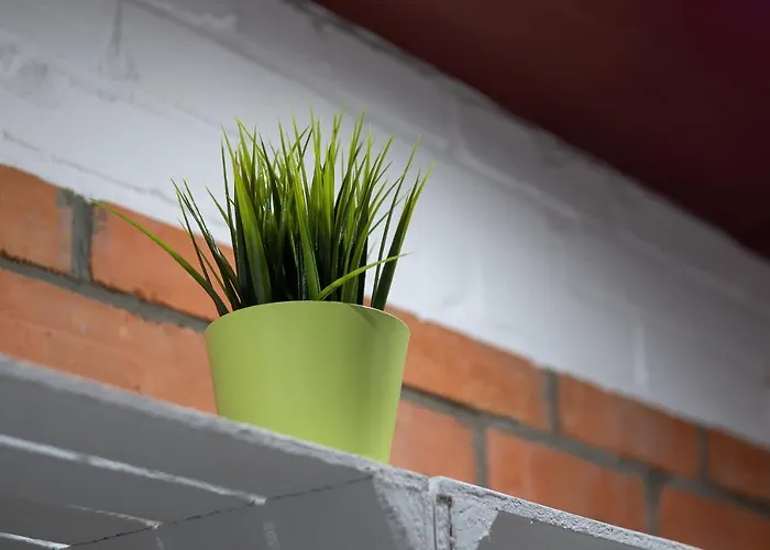 Osrodek Wypoczynkowy - Wczasy W Cichowie 3*